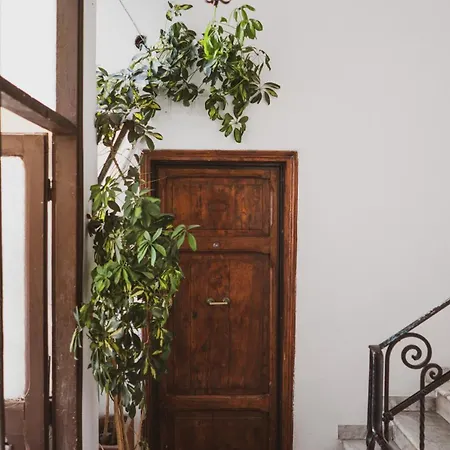 게스트하우스 Tiberim Exclusive 4*